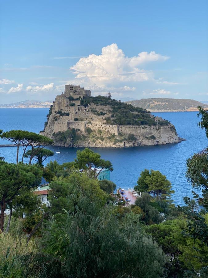 Vittoria Colonna Luxury B&B Ischia Exterior foto